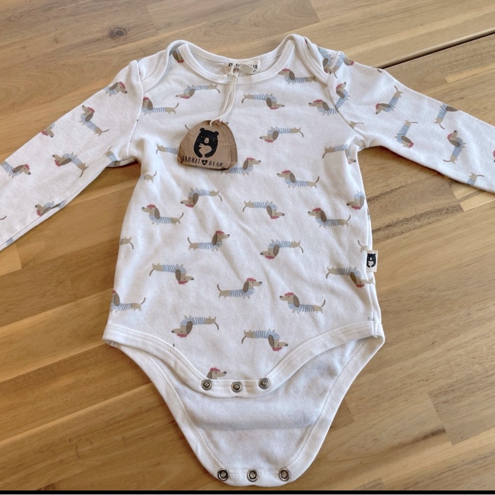 Rabbit Bear onesie